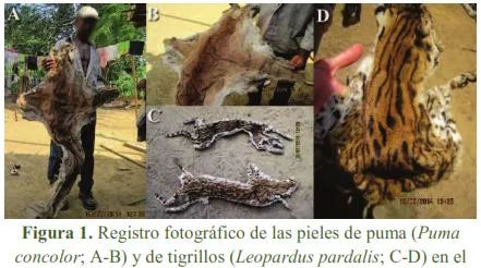 Santuario de Fauna y Flora Los Besotes