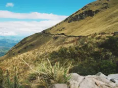 Santuario de Fauna y Flora Los Colorados