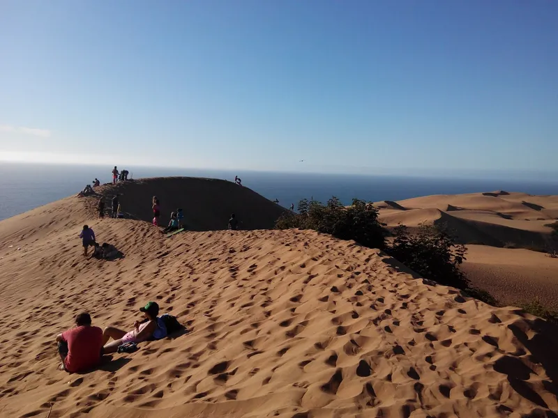 Santuario de la Naturaleza Dunas de Mantagua
