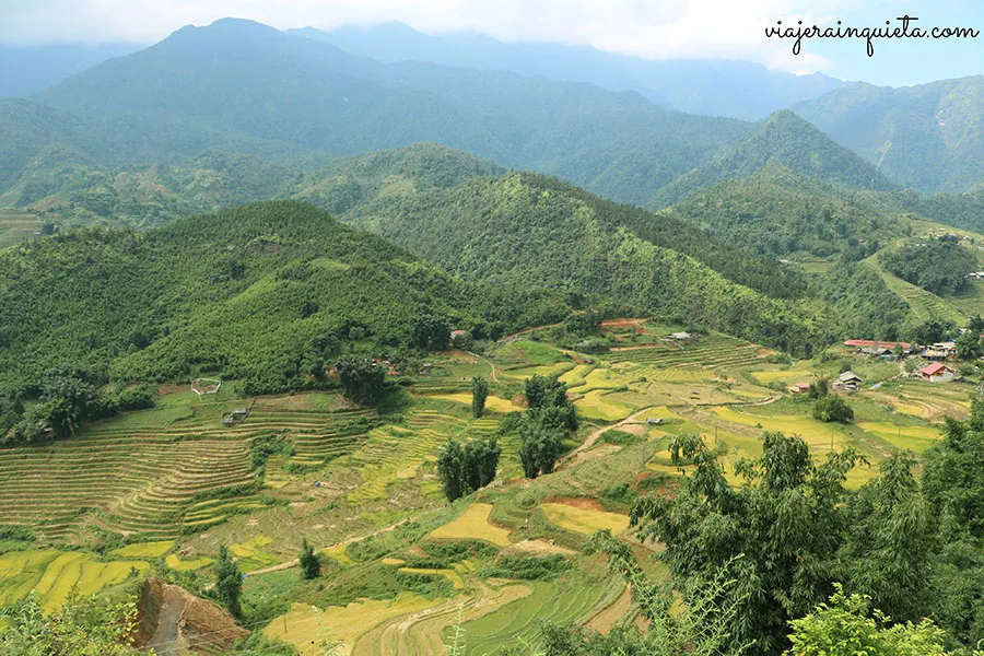 Sapa Museum