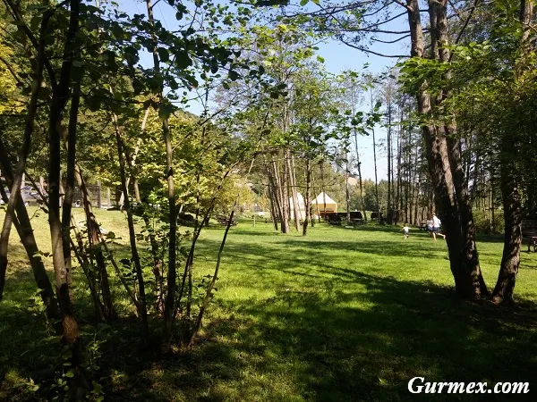 Sapanca Bird Park