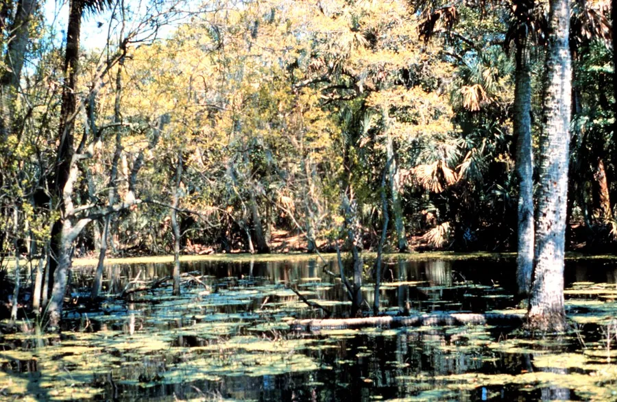 Sapelo Island National Estuarine Research Reserve (NERR)