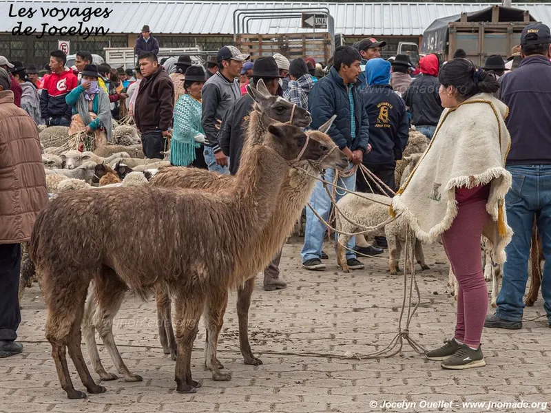 Saquisilí Market
