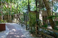 Sarasota Jungle Gardens