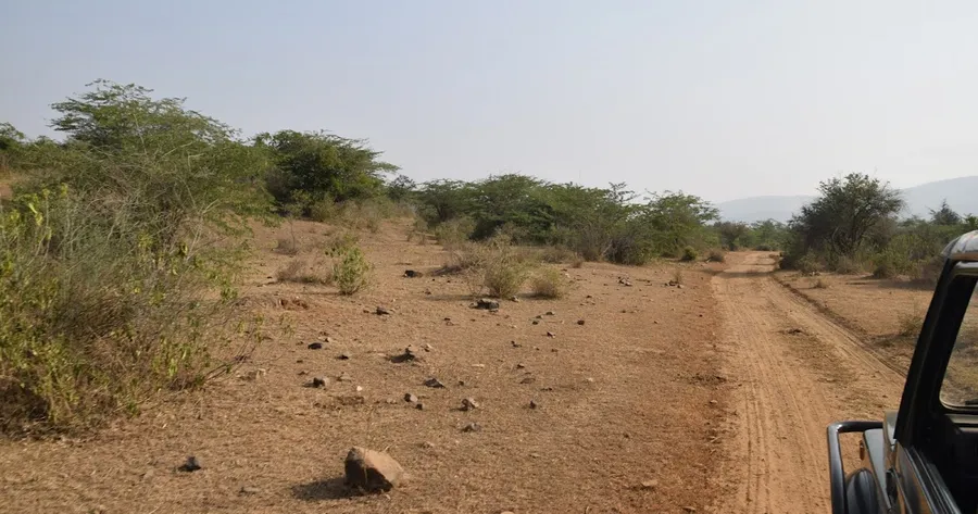 Sariska Tiger Reserve