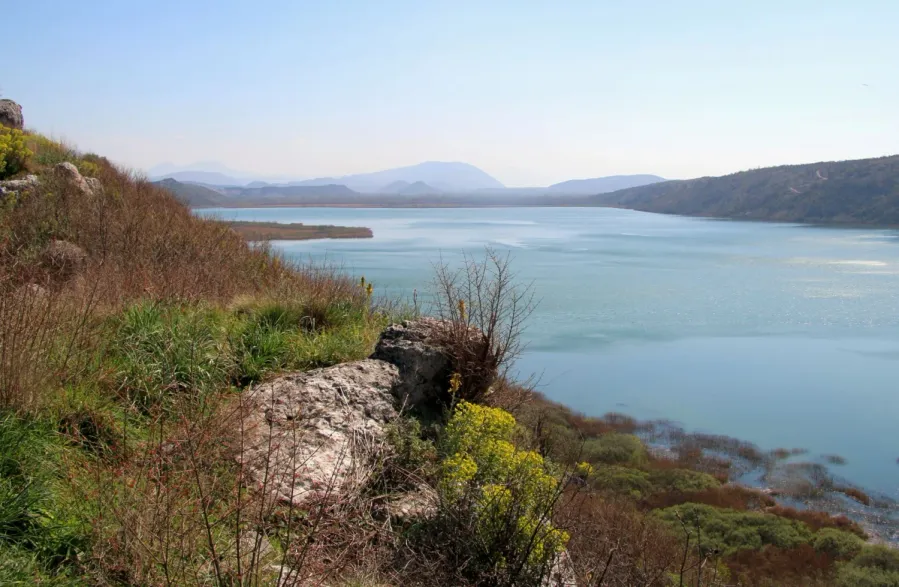 Sasko Lake