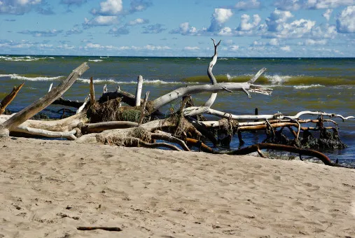 Saulkrasti Beach