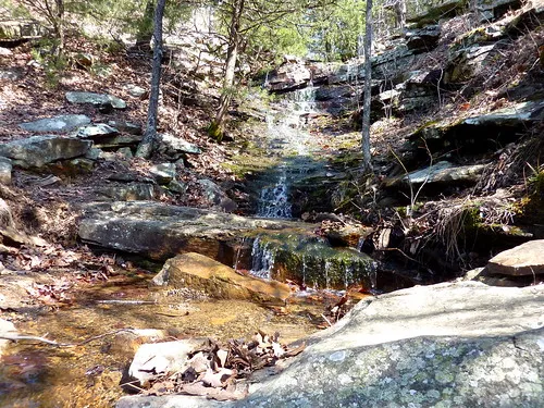 Saunders Springs Nature Preserve