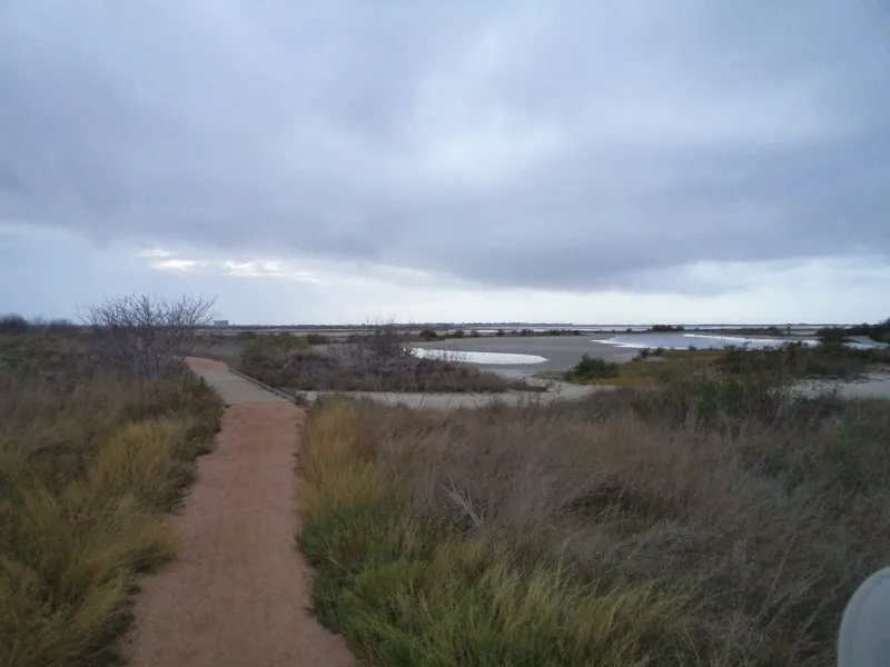Savannas Preserve State Park