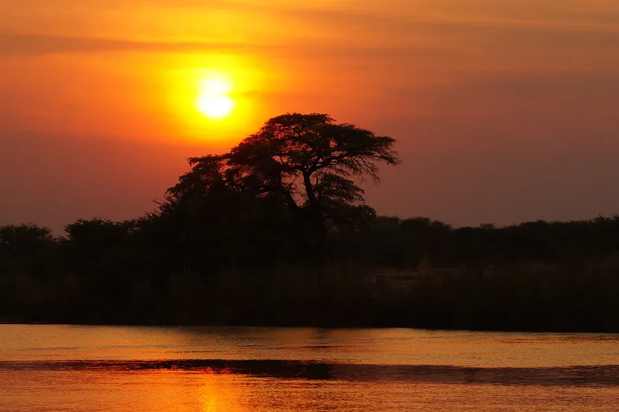 Savuti Marsh