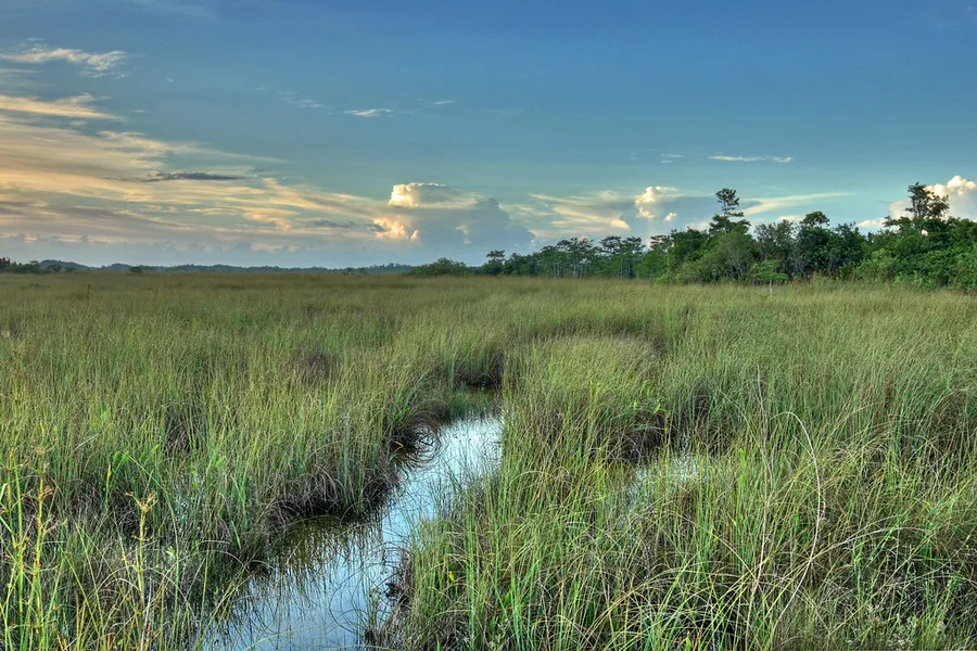 Sawgrass Recreation Park