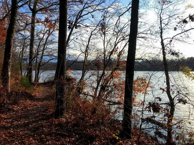 Saxapahaw Island Park