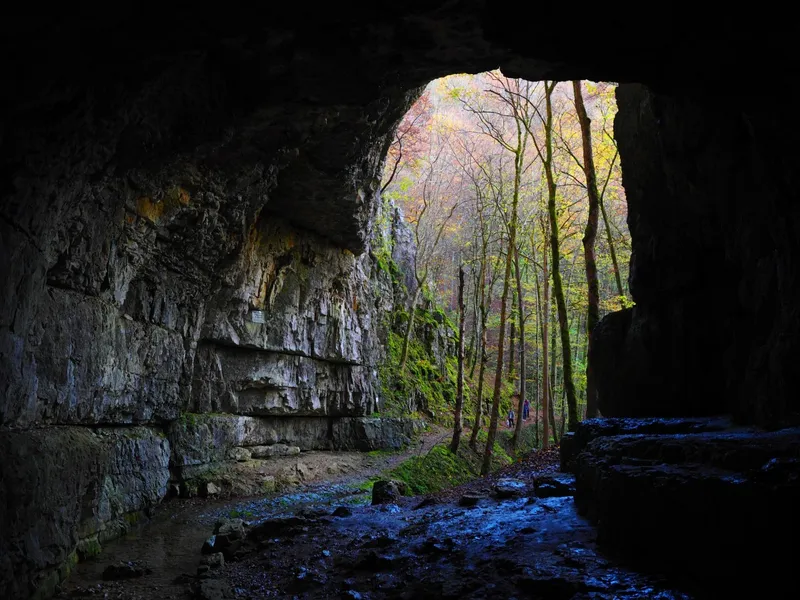 Scenic Caves Nature Adventures