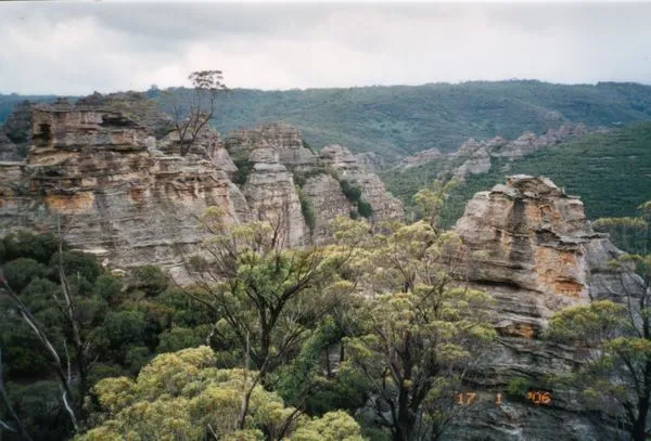 Scenic Hill Walking Track