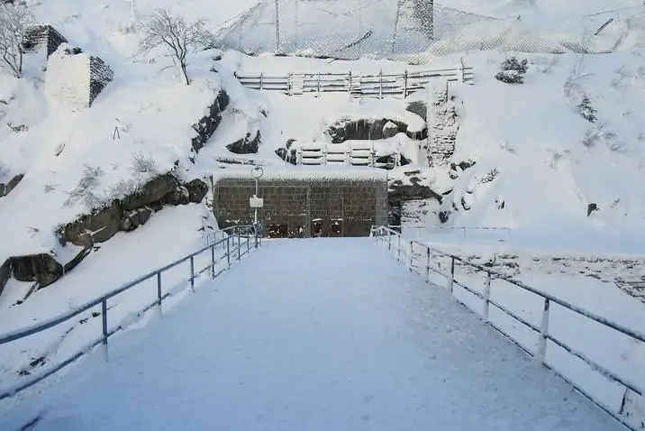 Schöllenen Gorge