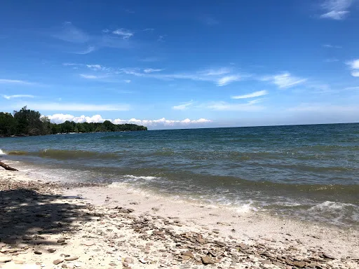 Scheele Preserve
