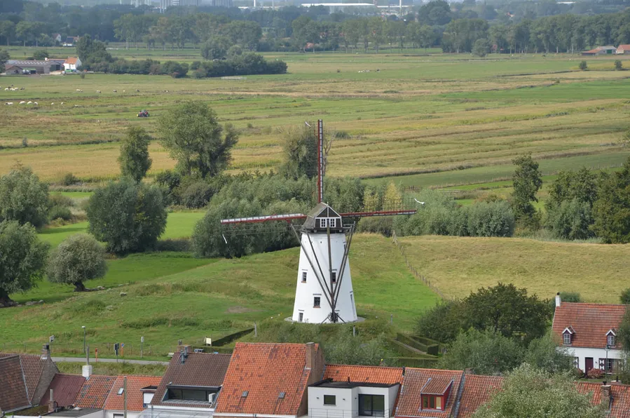 Schellemolen