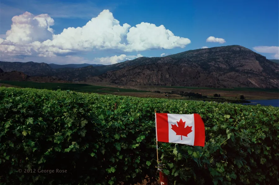 Scheuermann Vineyard & Winery