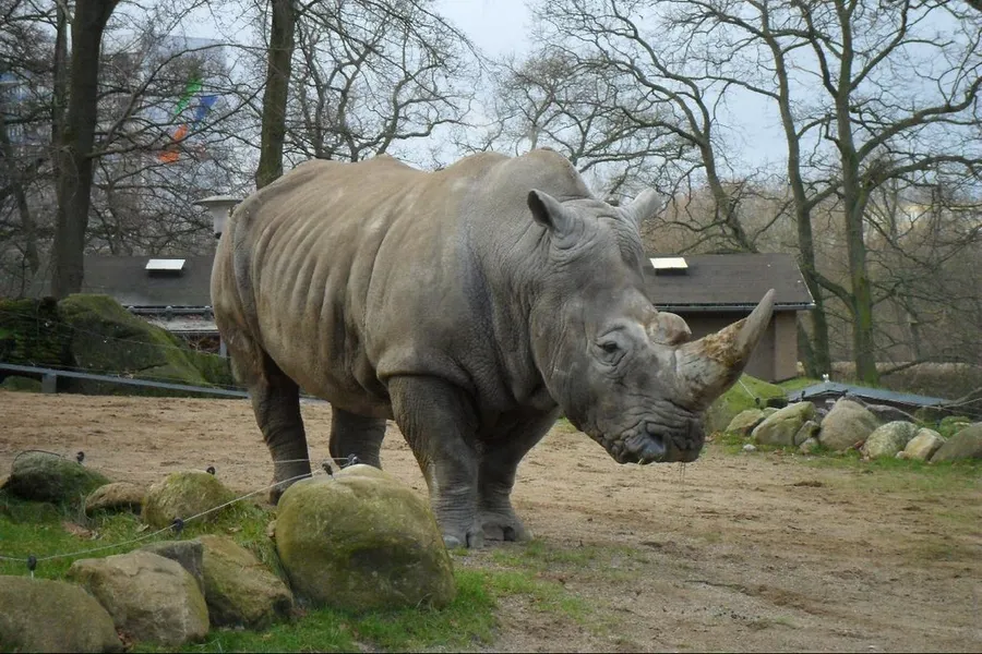 Schwerin Zoo