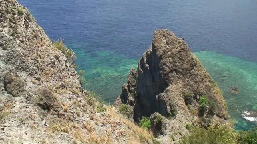 Scott's Head Beach