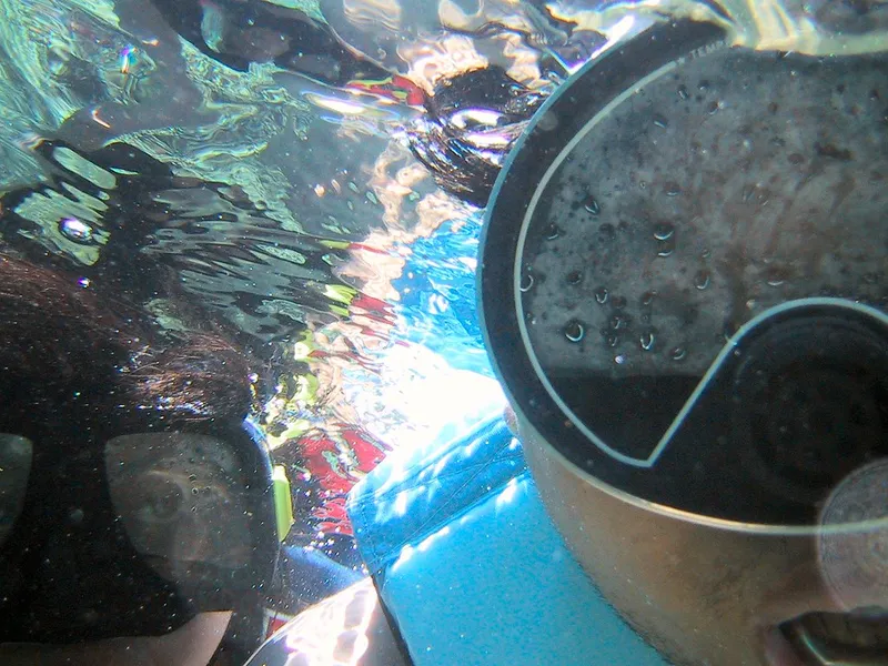 Scuba Diving & Snorkeling (Various Reefs)