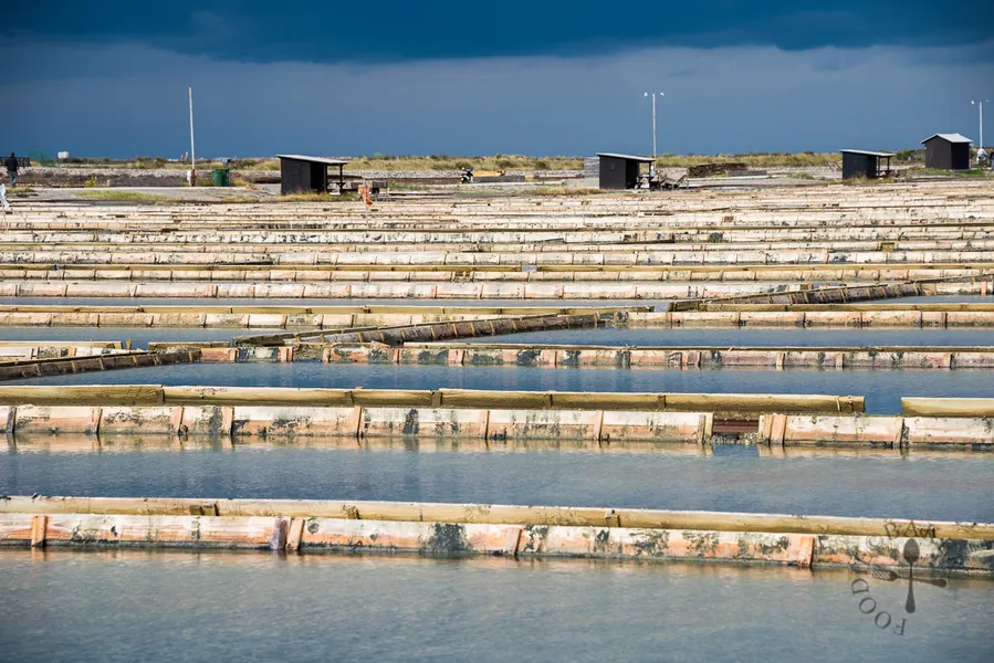 Sečovlje Salt Pans