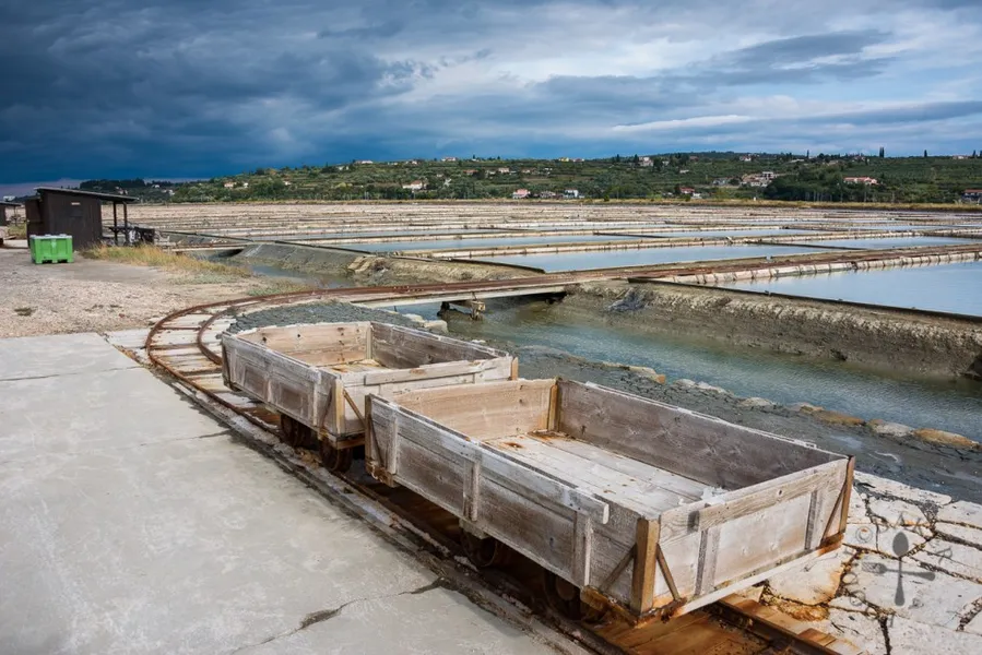 Sečovlje Salt Pans Nature Park