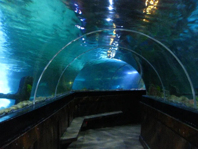 Sea Life Brighton