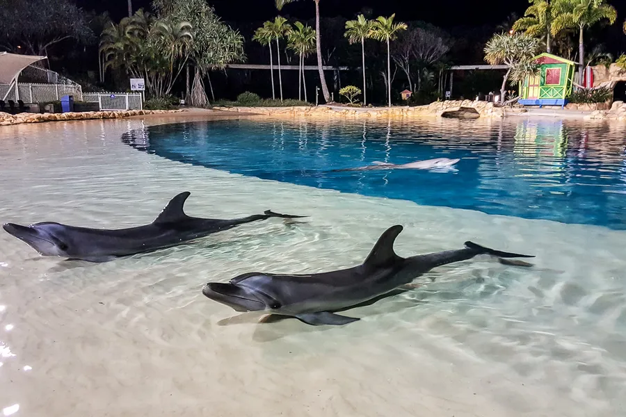 Sea World