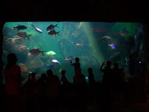 Sea World Ancol