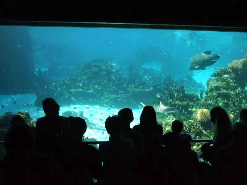 Sea World Aquarium