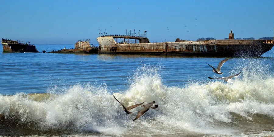 Seacliff Beach