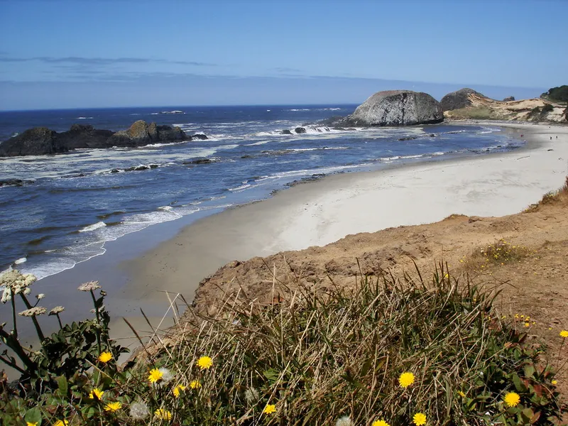 Seal Rock State Recreation Site