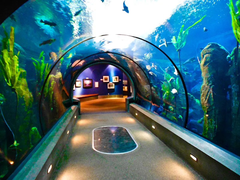 Seaside Aquarium