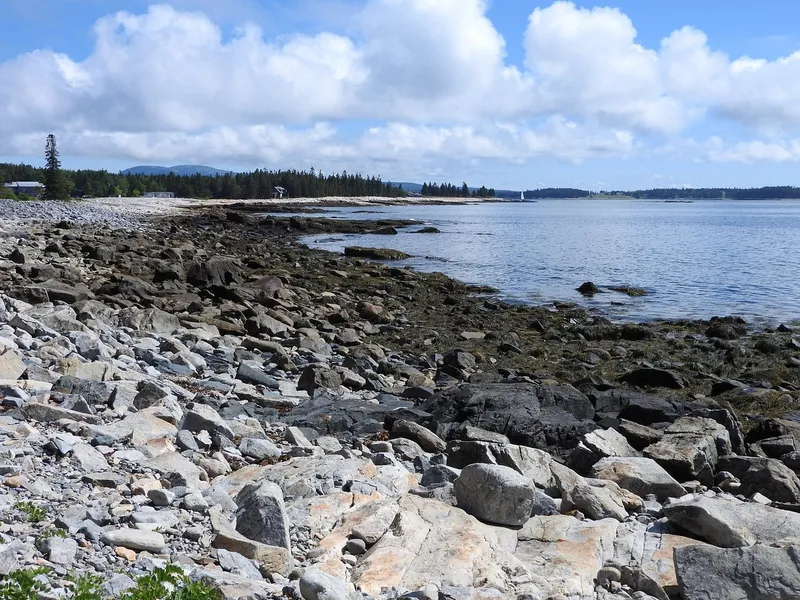 Seawall Picnic Area