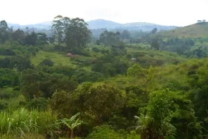 Sebitoli Forest Centre