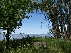 Second Marsh Wildlife Area