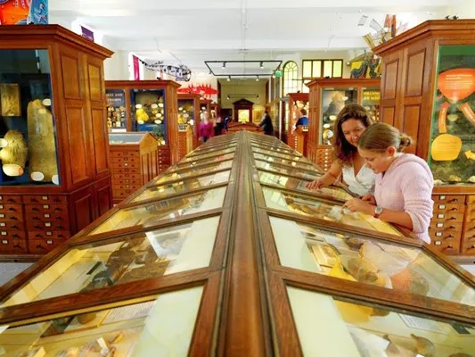 Sedgwick Museum of Earth Sciences
