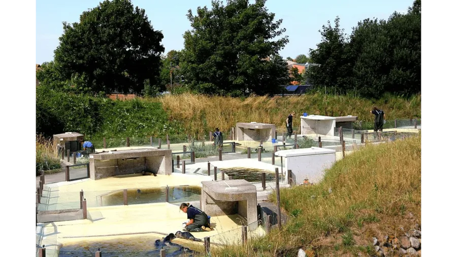 Seehundstation Friedrichskoog