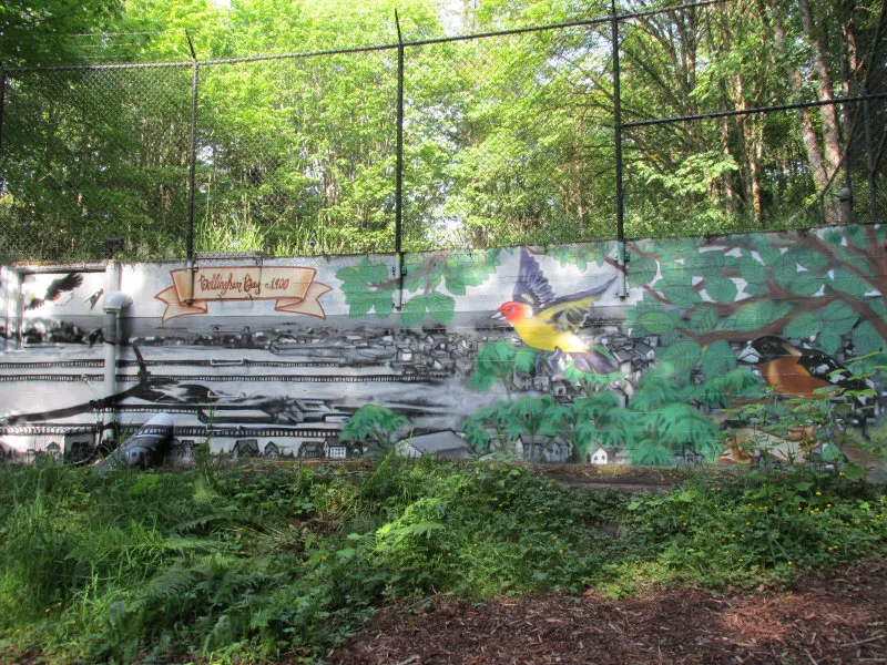 Sehome Hill Arboretum