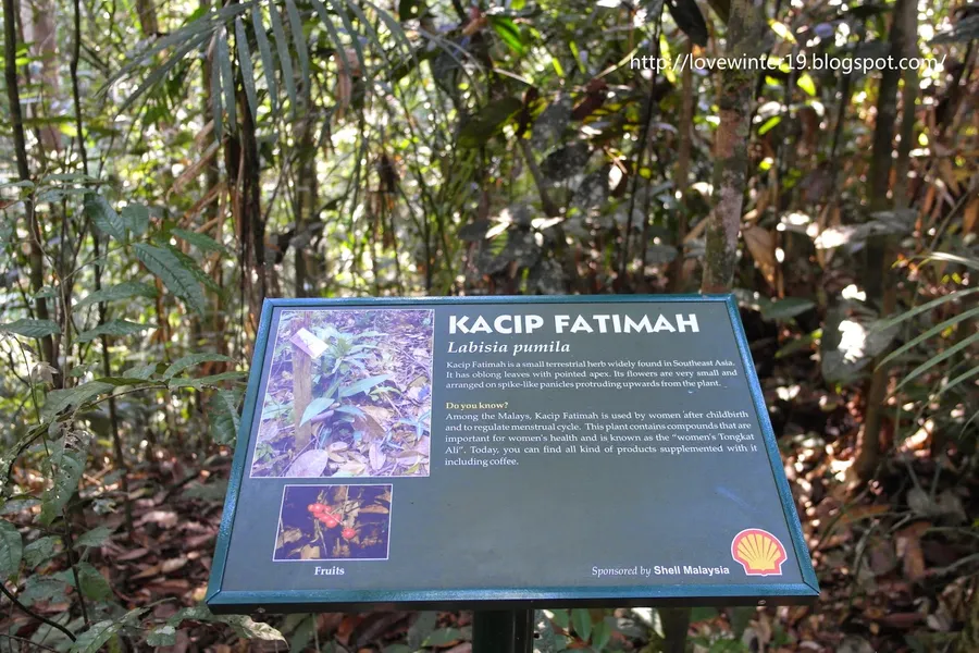 Semenggoh Nature Reserve