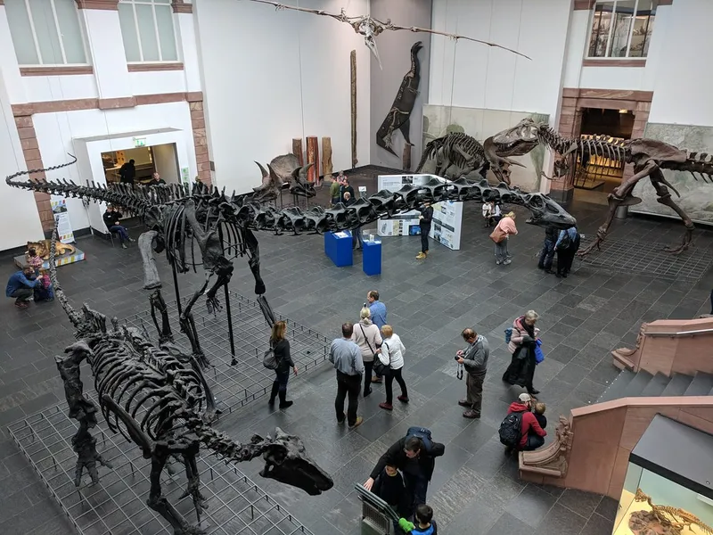 Senckenberg Natural History Museum