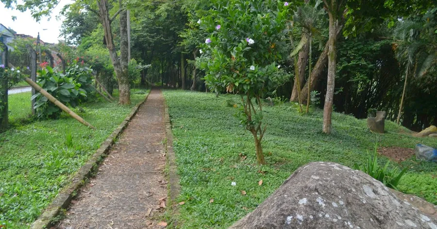 Sendero Ecológico La Papaya