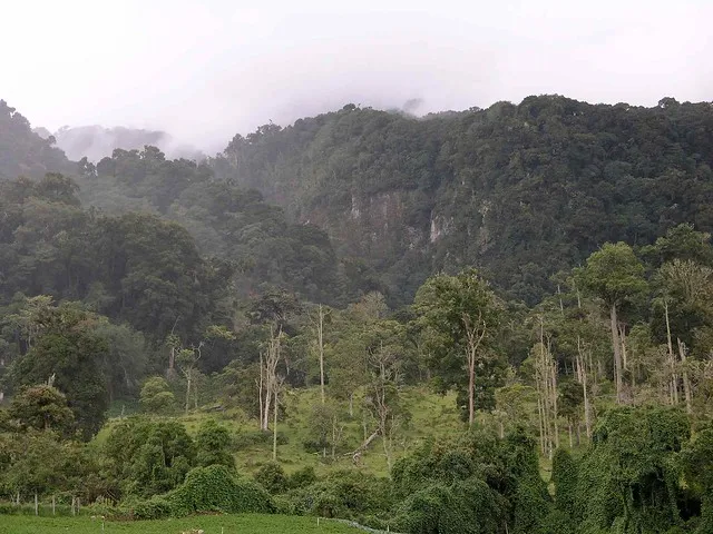 Sendero Los Quetzales