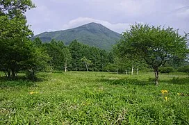 Senjogahara Marshland