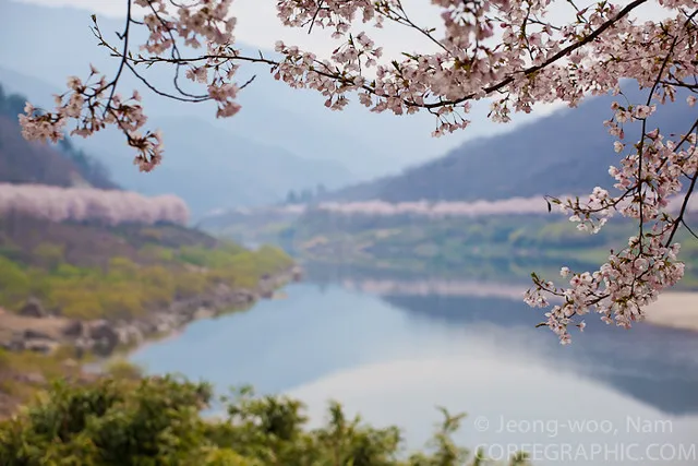 Seomjin River