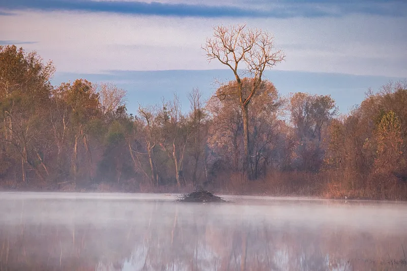 Sequoyah National Wildlife Refuge