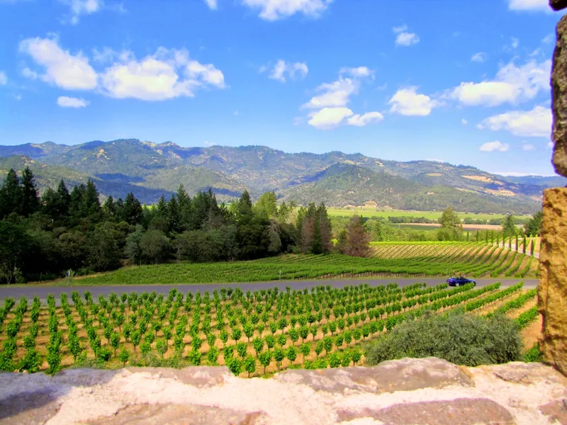 Serenity Cellars