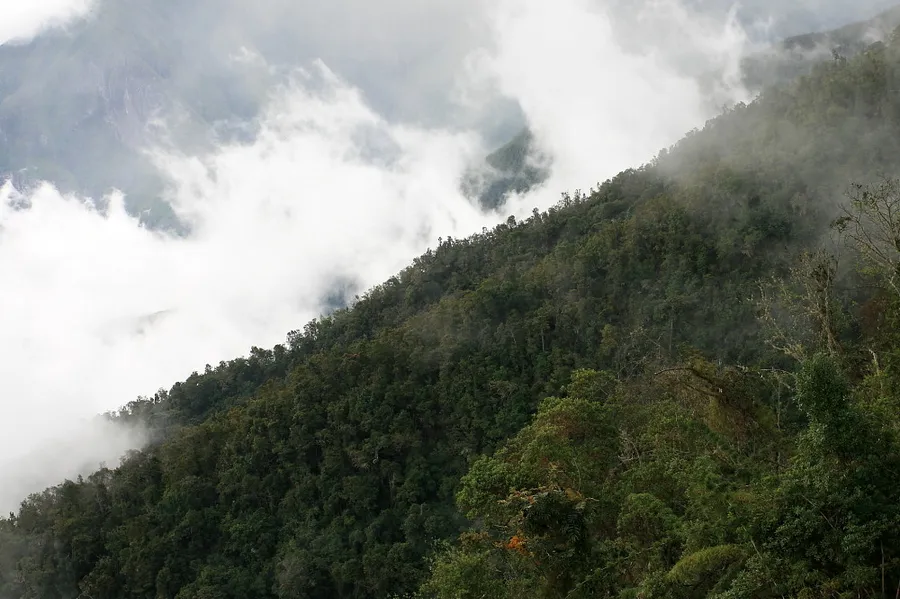 Serranía del Perijá
