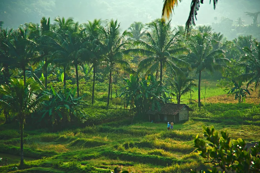 Setu Babakan Betawi Cultural Village
